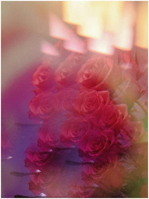 Artistic double exposure of red roses creating a k