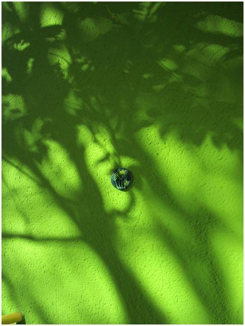 Close-up of shadows and a small decoration on a gr