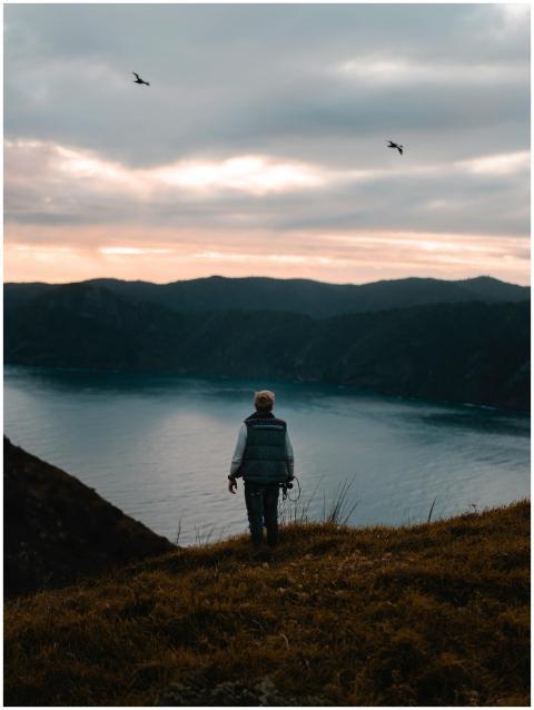A solitary figure stands on a hill overlooking a t