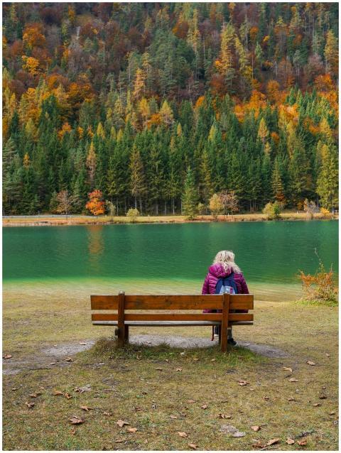 Free stock photo of coloring, fall leaves, lake