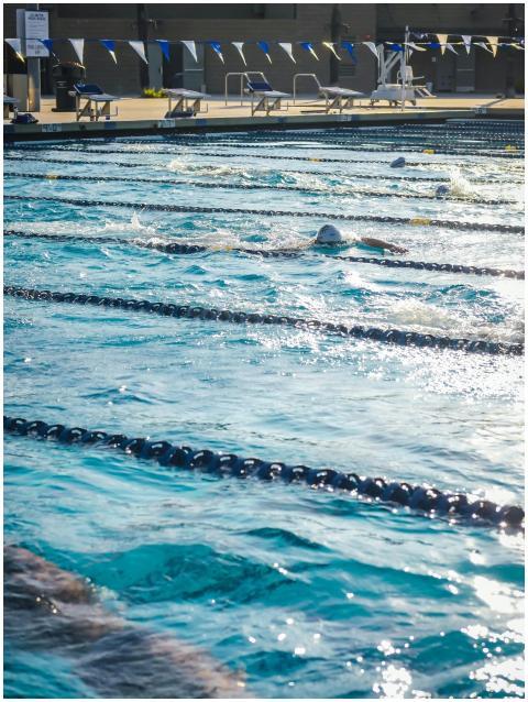 Swimmers competing in a sunny, outdoor swimming po