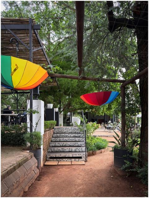 Free stock photo of beautiful outdoors, garden dec