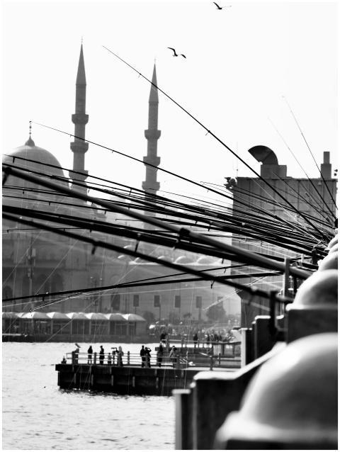 Fishing Lines Overlooking Istanbul