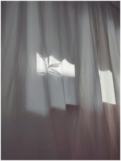 Sunlight casts soft shadows through a white curtai