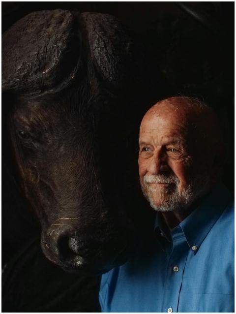 Elderly man standing next to a buffalo, evoking th