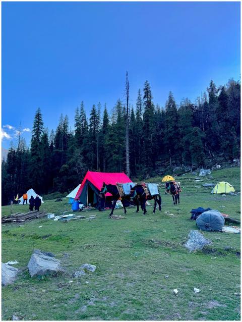Colorful Tent Camping Himalayas