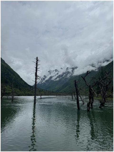 A serene mountain lake with barren trees under a c