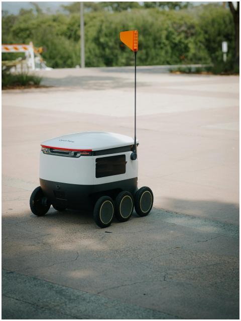 Futuristic delivery robot for food transportation