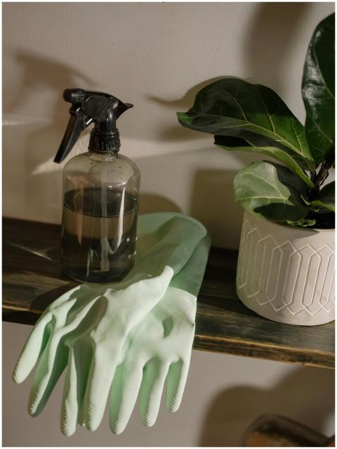 A stylish cleaning setup featuring green gloves, a