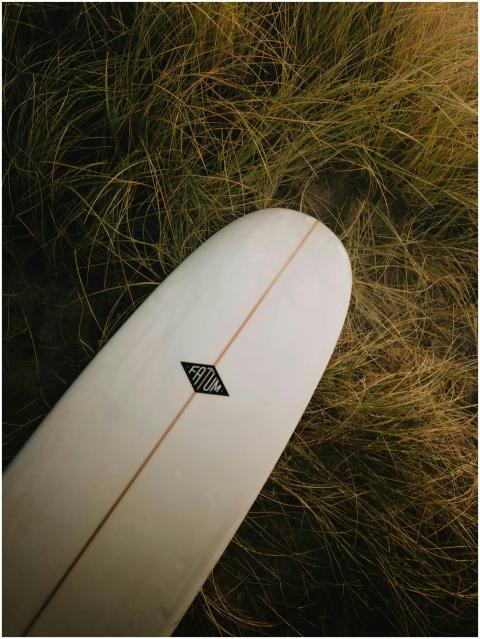 Free stock photo of denmark, gliding, longboard