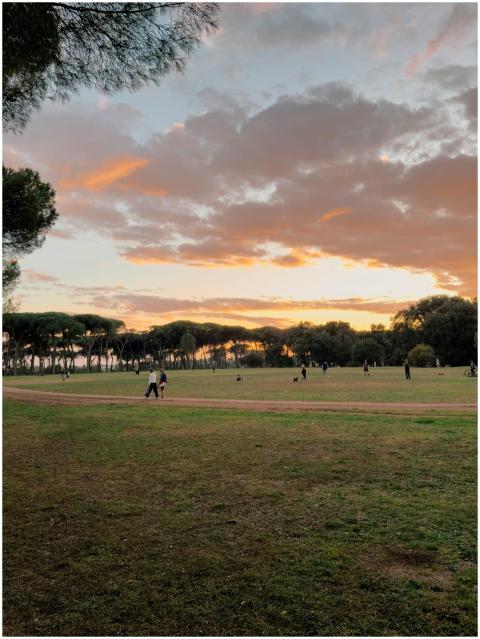 A serene sunset in Villa Doria Pamphili park with