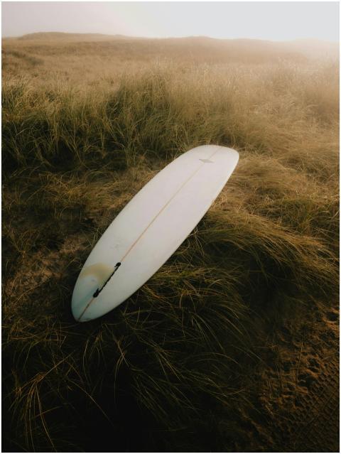 Free stock photo of denmark, gliding, longboard