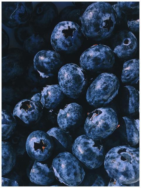 A vibrant close-up of a heap of fresh, juicy blueb