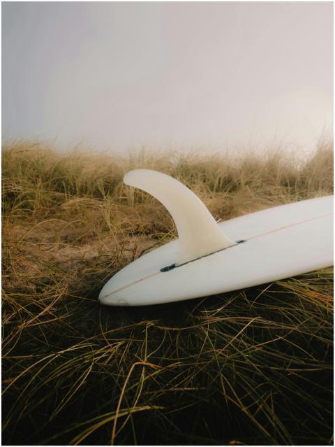Free stock photo of denmark, gliding, longboard