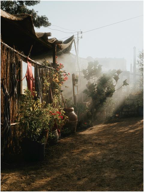 A serene garden in Faiyum, Egypt, illuminated by s
