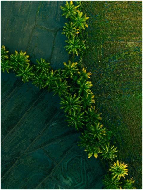 Free stock photo of aerial photography, cinematic