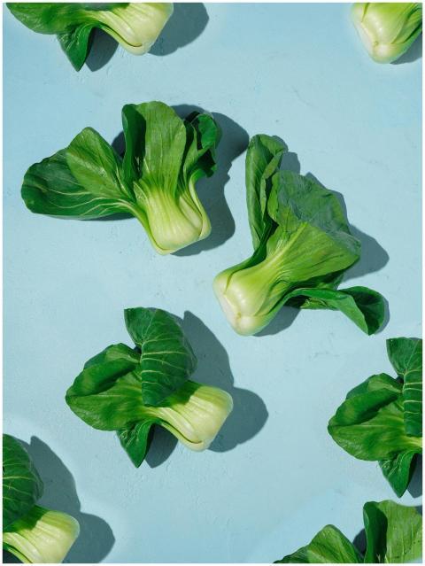 Top view of bok choy leaves scattered on a blue su