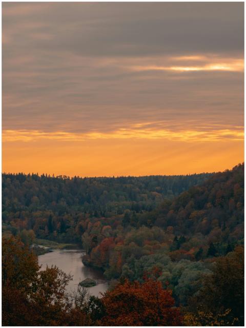 Aerial view of Sigulda's autumn forest illuminated