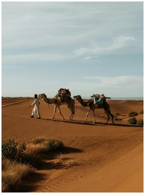A scenic view of a camel caravan traversing the sa