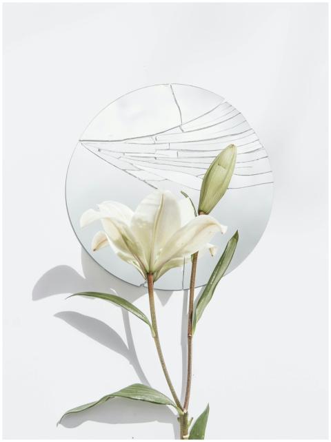 A white lily placed in front of a broken round mir