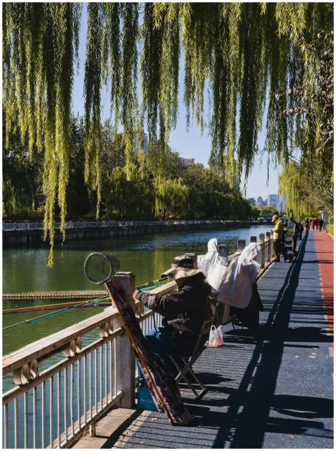 Free stock photo of benches, calm, city