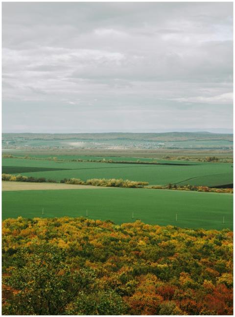Beautiful autumn landscape in Bashkortostan with r