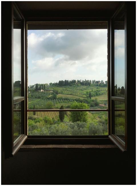 View of San Gimignano's lush hills and vineyards t
