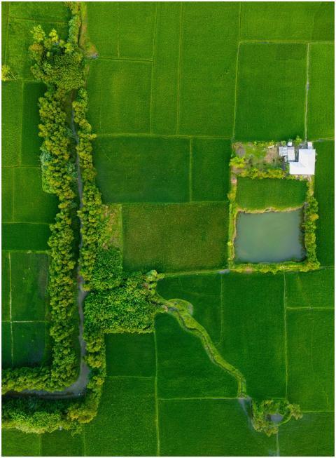 Beautiful Bangladesh