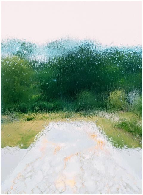 Blurry view of nature through a rain-soaked window