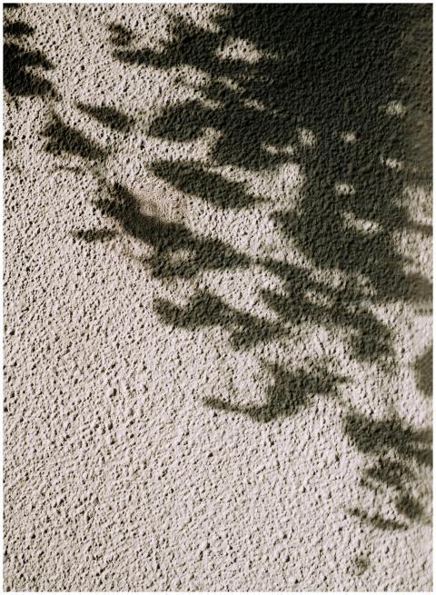 Intriguing abstract shadows cast on a textured con