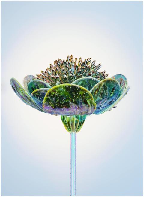 A stunning 3D glass-effect flower highlighting tec