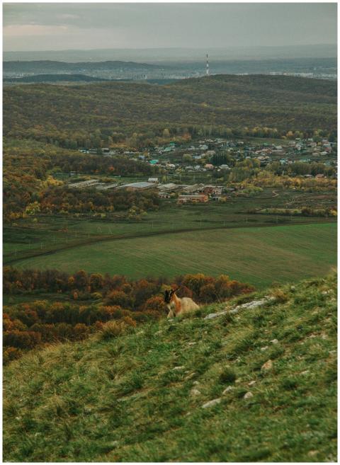 A peaceful autumn scene featuring rolling hills, a