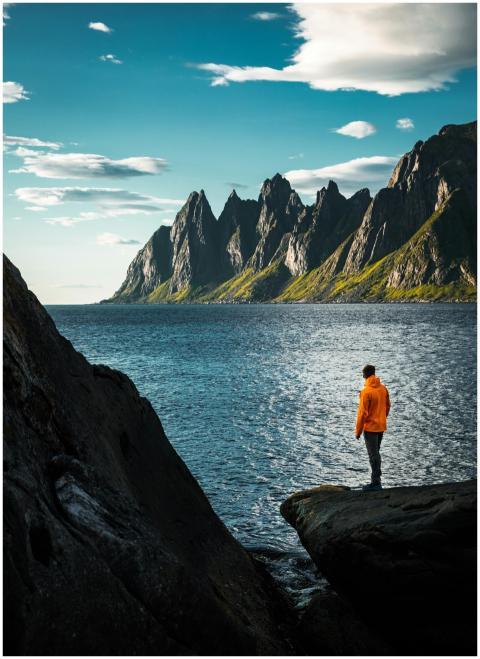 A person stands by a stunning mountain and sea vie