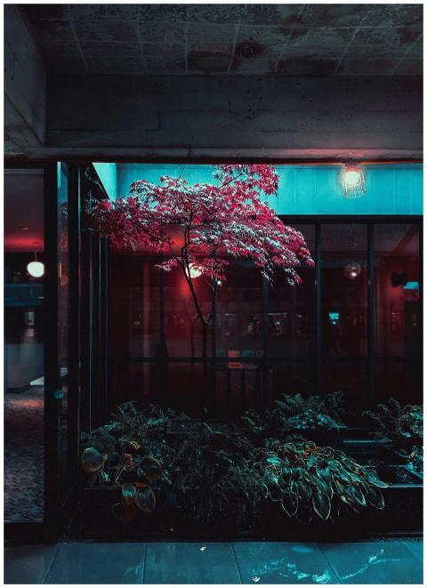 A vibrant tree illuminated by neon lights in an at