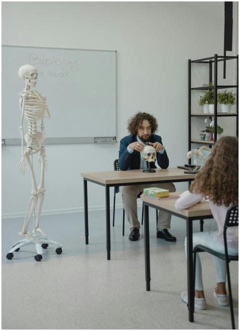 Teacher explaining human anatomy using a skull mod