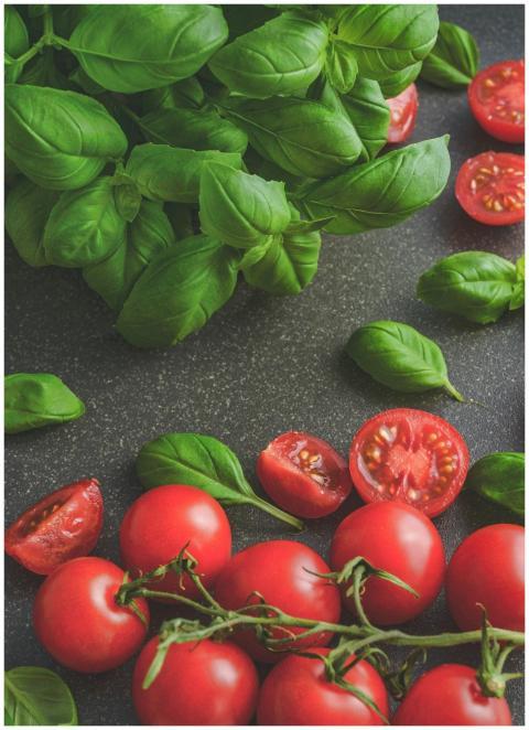 Organic basil leaves with ripe tomatoes on a rusti