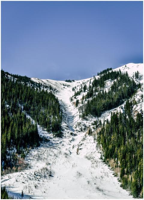 A breathtaking snow-capped mountain and forest sce