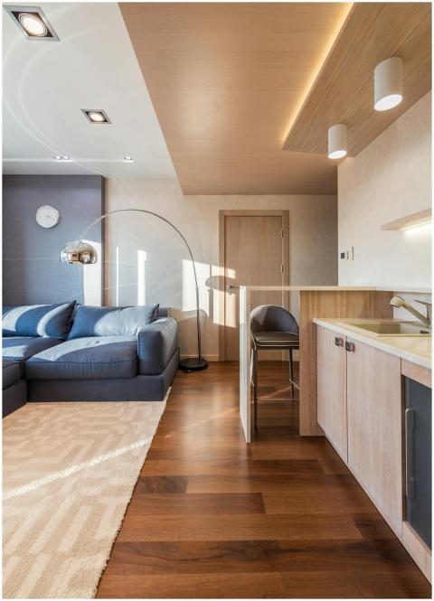 Contemporary living room with open kitchen and mod