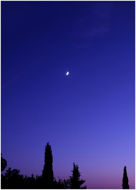 A calm night sky with a crescent moon and silhouet