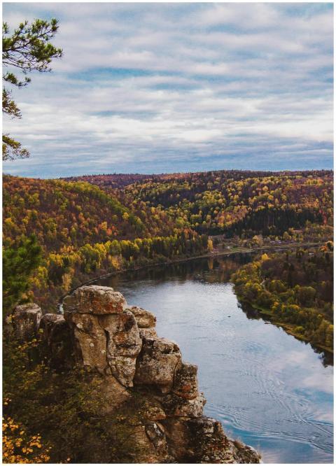 A captivating aerial view of a vibrant autumn fore