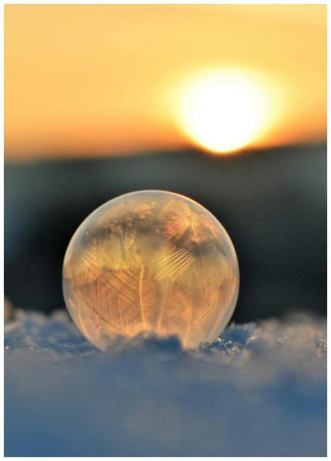 A frozen soap bubble on snow captures crystalline