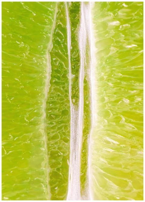 Detailed macro shot of a vibrant green lime slice,