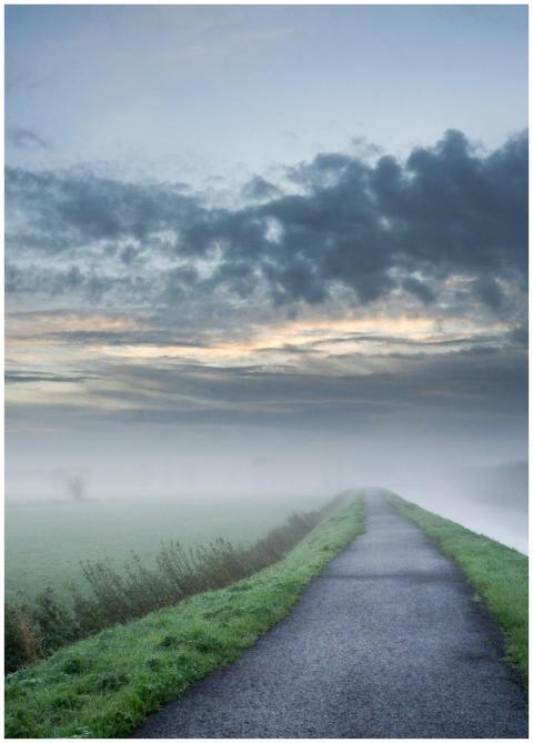A serene misty country road in Stekene, Belgium at