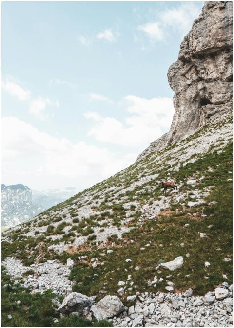 Majestic mountain landscape in Žabljak, Montenegro