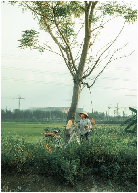 A farmer with a bicycle stands under a tree in a l