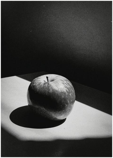 Artistic black and white still life photography of