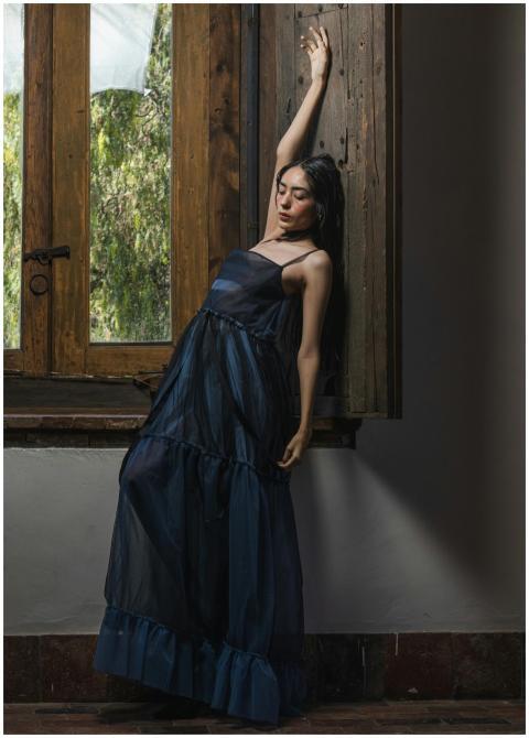 Stylish portrait of a woman in a blue dress leanin