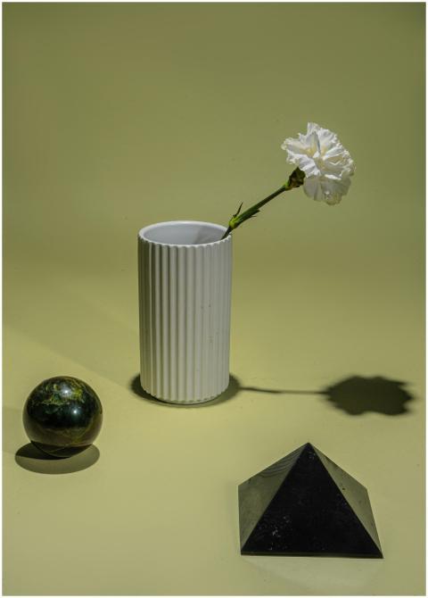 Artistic still life featuring a white vase, flower