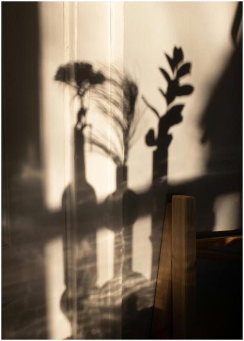 Artistic shadows of vases and plants cast on a sun