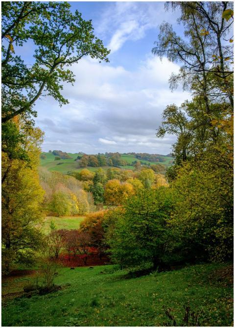 Free stock photo of autumn, autumn colours, autumn
